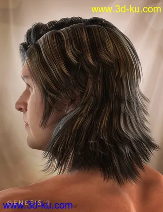 3D打印模型Drifter Hair for Genesis 2 Male(s)的图片