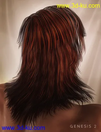 3D打印模型Drifter Hair for Genesis 2 Male(s)的图片