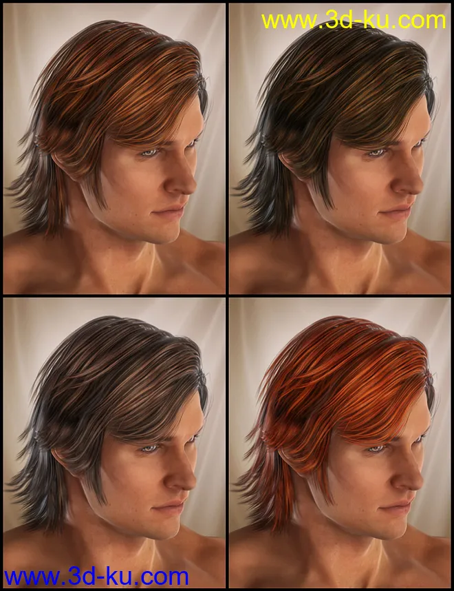 Drifter Hair for Genesis 2 Male(s)模型的图片7