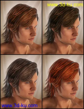 3D打印模型Drifter Hair for Genesis 2 Male(s)的图片