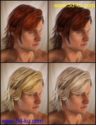 3D打印模型Drifter Hair for Genesis 2 Male(s)的图片