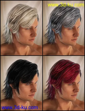 3D打印模型Drifter Hair for Genesis 2 Male(s)的图片