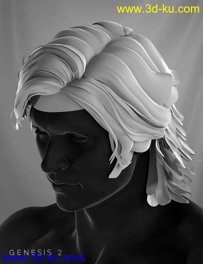 Drifter Hair for Genesis 2 Male(s)模型的图片10