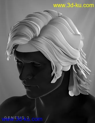 3D打印模型Drifter Hair for Genesis 2 Male(s)的图片
