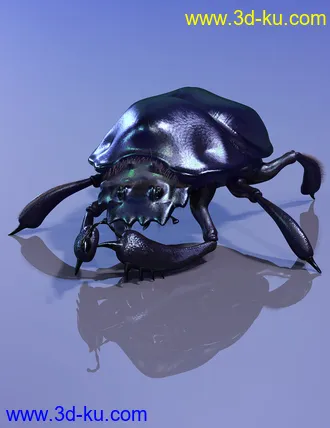 3D打印模型Egyptian Scarab的图片