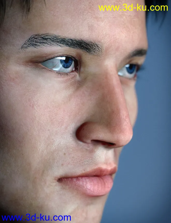 Fabian HD for Genesis 8 Male模型的图片5