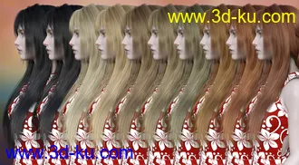 3D打印模型FE Long Hair Vol 01 for Genesis 8 Female的图片