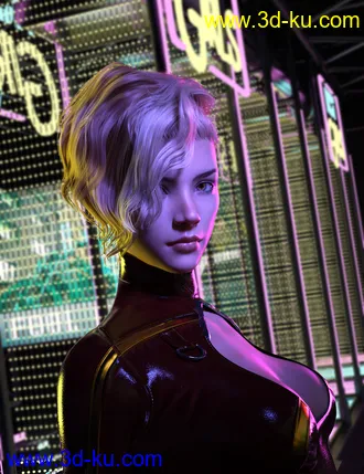 3D打印模型FE Punk Hair Vol 1 for Genesis 8 Females的图片
