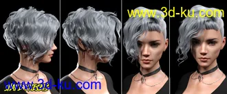 3D打印模型FE Punk Hair Vol 1 for Genesis 8 Females的图片