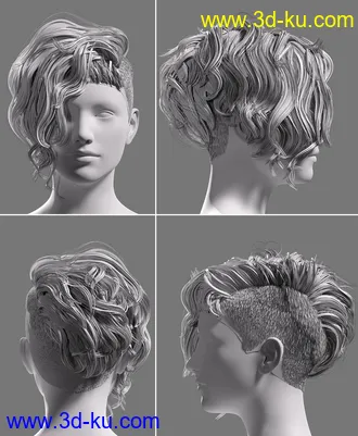 3D打印模型FE Punk Hair Vol 1 for Genesis 8 Females的图片