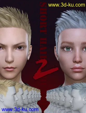 3D打印模型FE Short Hair Vol 2 for Genesis 8的图片