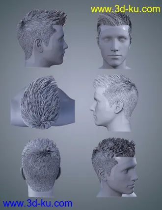 3D打印模型FE Short Hair Vol 2 for Genesis 8的图片