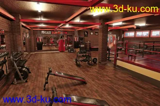 3D打印模型FG Boxing Gym的图片