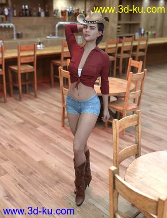 3D打印模型FG Cowgirl Outfit for Genesis 8 Females的图片