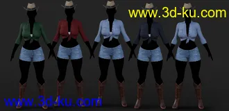 3D打印模型FG Cowgirl Outfit for Genesis 8 Females的图片