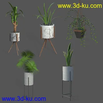 3D打印模型FG Modern Decor的图片