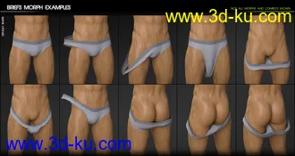 3D打印模型Fit Control Add-On for Genesis 3 and 8 Bundle的图片