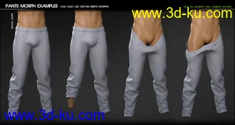 3D打印模型Fit Control Add-On for Genesis 3 and 8 Bundle的图片