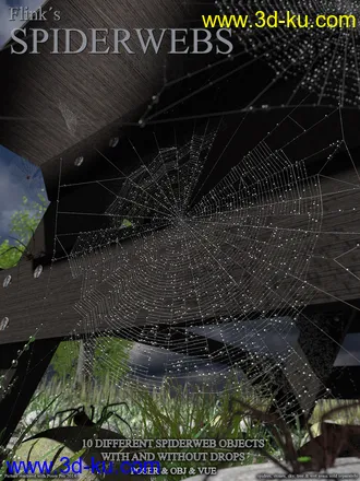 3D打印模型Flinks Spiderwebs的图片