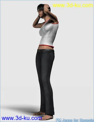 3D打印模型FM Jeans for Genesis的图片