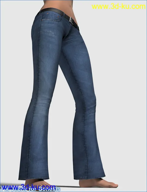 FM Jeans for Genesis模型的图片4