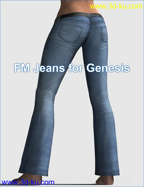 FM Jeans for Genesis模型的图片11
