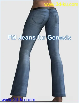 3D打印模型FM Jeans for Genesis的图片