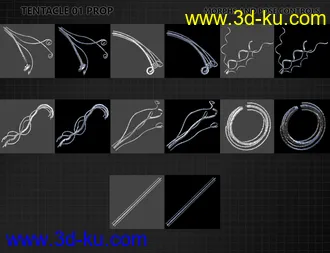 FSL Rigged and Morphing Binding Magics Iray模型的图片12