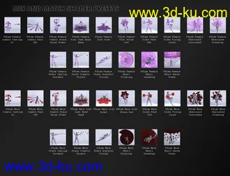 3D打印模型FSL Rigged and Morphing Supreme Magics Iray的图片