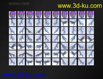 3D打印模型FSL Rigged and Morphing Supreme Magics Iray的图片