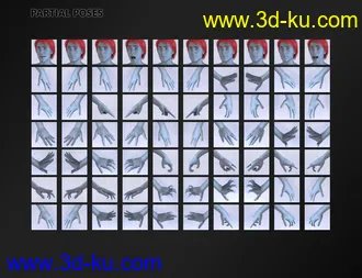 3D打印模型FSL Rigged and Morphing Supreme Magics Iray的图片