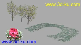 3D打印模型Garden Wedding的图片