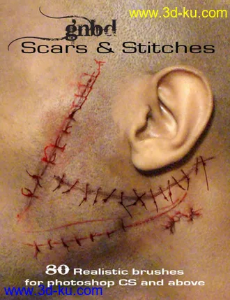 3D打印模型GNBD Scars & Stitches的图片