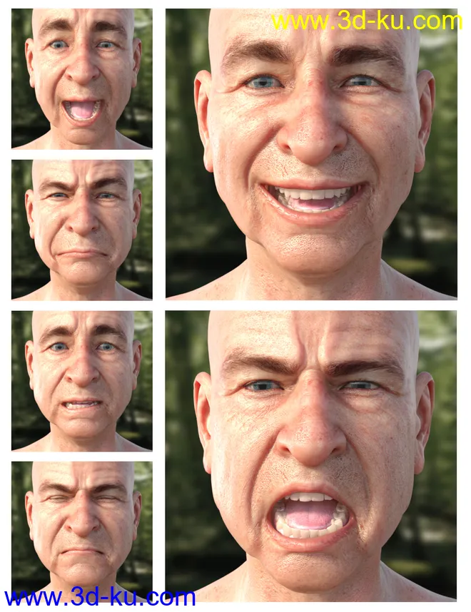 GRAMPS Expressions for Floyd 8模型的图片2