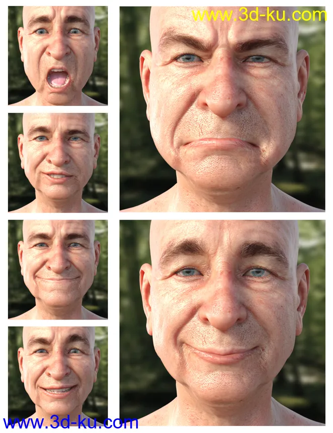 GRAMPS Expressions for Floyd 8模型的图片3