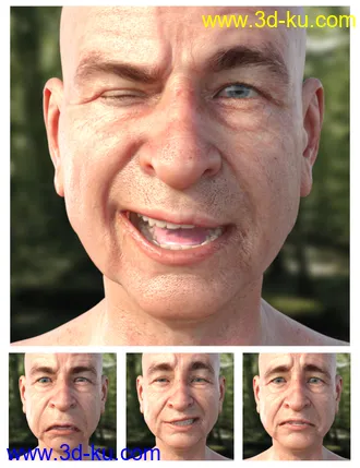 3D打印模型GRAMPS Expressions for Floyd 8的图片