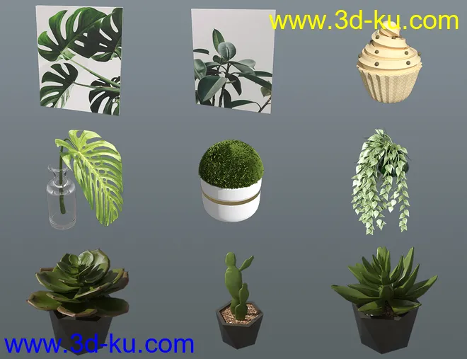 Green Coffee Shop模型的图片11