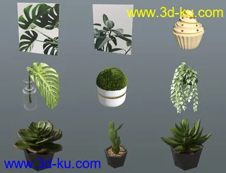 3D打印模型Green Coffee Shop的图片