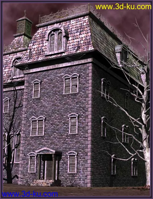 Haunted House 2010模型的图片5