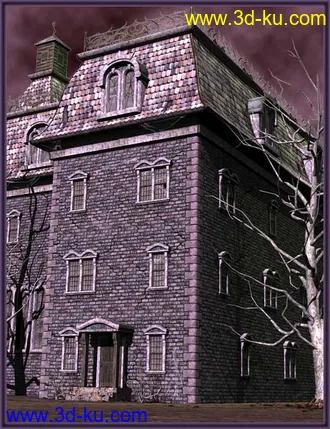 3D打印模型Haunted House 2010的图片