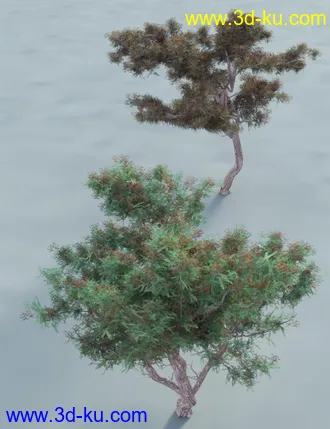 3D打印模型Hawthorn Trees for Daz Studio and Iray的图片