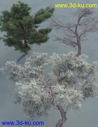 3D打印模型Hawthorn Trees for Daz Studio and Iray的图片