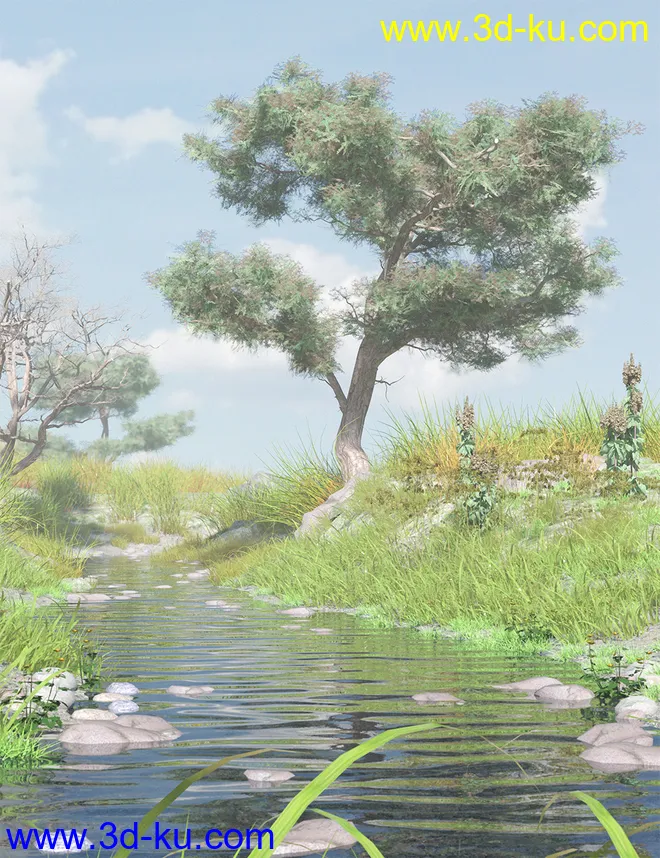 Hawthorn Trees for Daz Studio and Iray模型的图片7