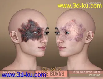 3D打印模型HD Face Burns AddOn for Genesis 8 Females的图片