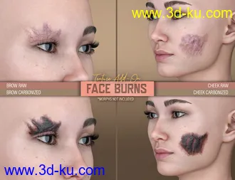 3D打印模型HD Face Burns AddOn for Genesis 8 Females的图片