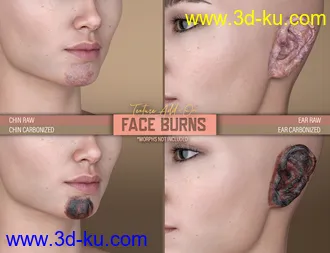 3D打印模型HD Face Burns AddOn for Genesis 8 Females的图片