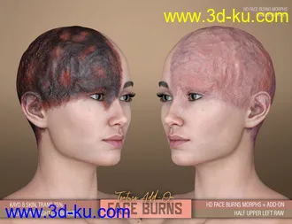 3D打印模型HD Face Burns AddOn for Genesis 8 Females的图片