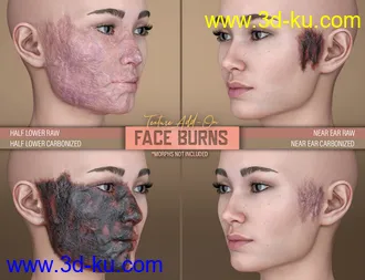 3D打印模型HD Face Burns AddOn for Genesis 8 Females的图片