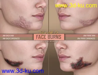3D打印模型HD Face Burns AddOn for Genesis 8 Females的图片