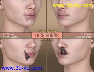 3D打印模型HD Face Burns AddOn for Genesis 8 Females的图片